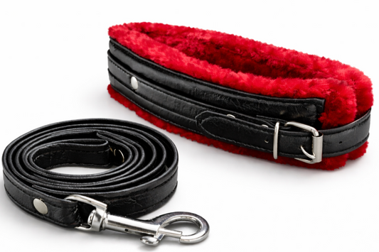 Signature Collar & Leash Set